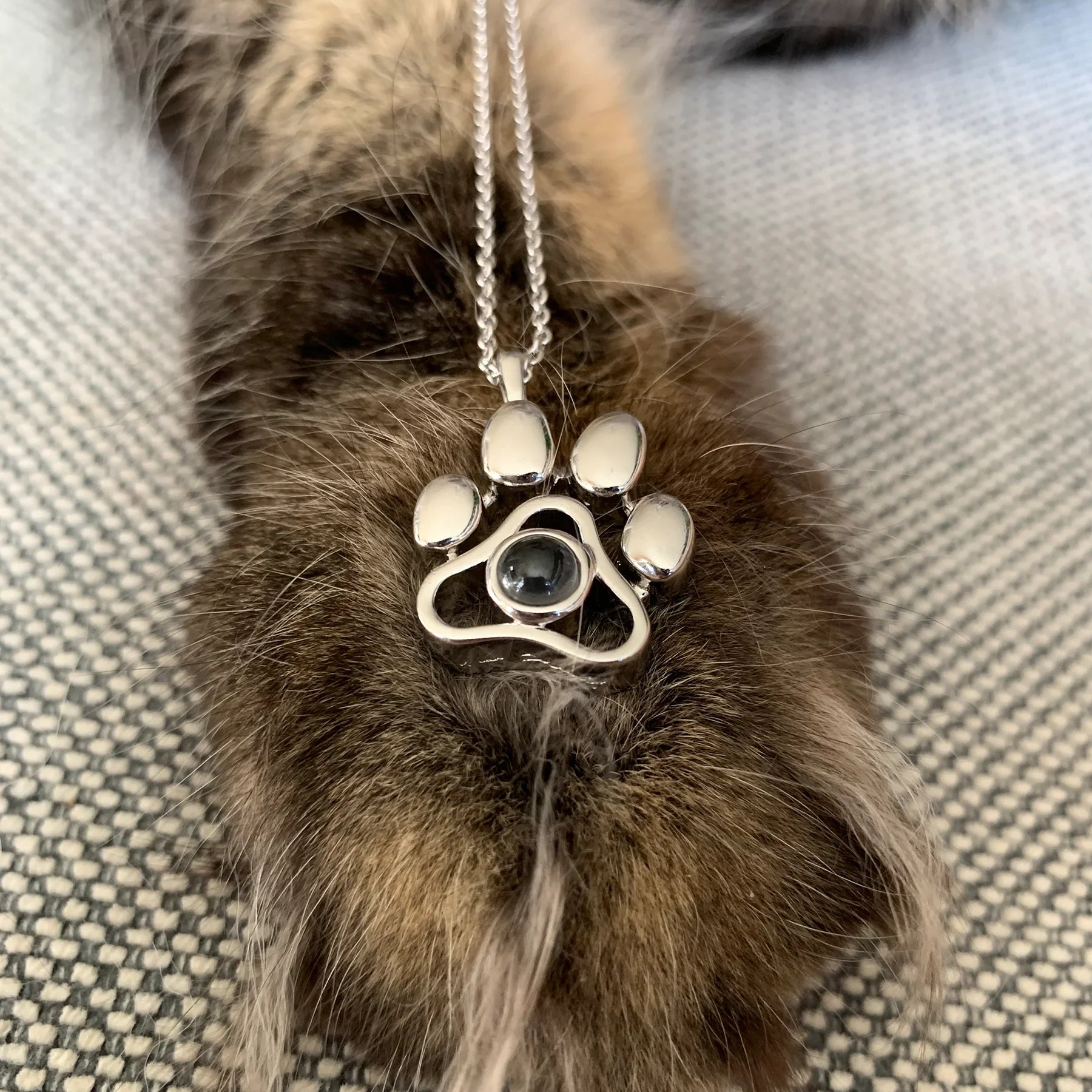 Personalized Pet Necklace