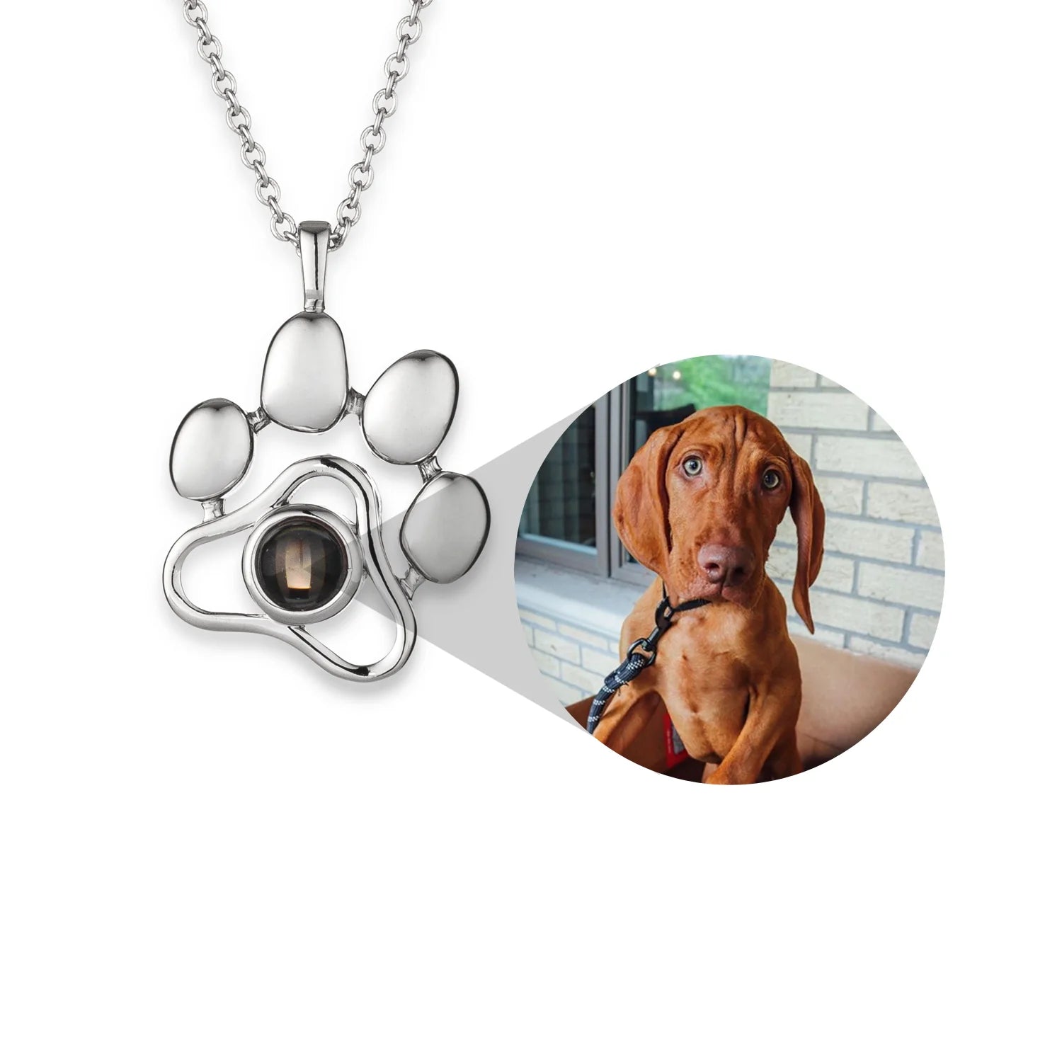 Personalized Pet Necklace